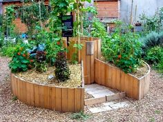 a wooden garden bed with plants growing in it