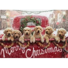 four puppies sitting in the back of a red truck with christmas decorations on it