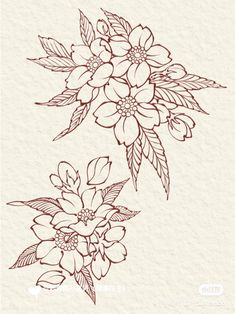 a drawing of flowers with leaves on it