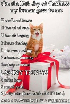 an orange and white cat sitting on top of a present box with red ribbon around it