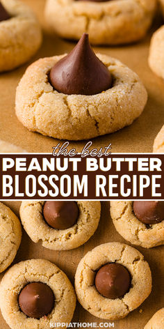 peanut butter blossom cookies on a table Best Peanut Butter Blossoms, Peanut Butter Blossoms Recipe, Sugar Cookie Cakes, Healthy Cookie, Chewy Peanut Butter Cookies, Peanut Butter Blossoms, Giant Cookie, Russian Tea, Favorite Cookie Recipe