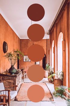 an orange and brown room with potted plants on the floor, hanging from ceiling