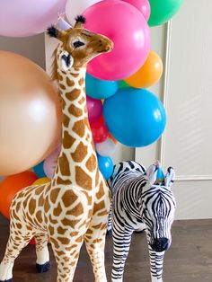 two zebras and a giraffe are standing next to each other in front of balloons