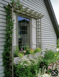 an open window on the side of a house with plants growing out of it's windowsill