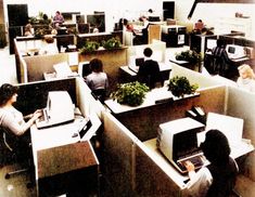 an office filled with people working on laptops and desktop computer's in cubicles