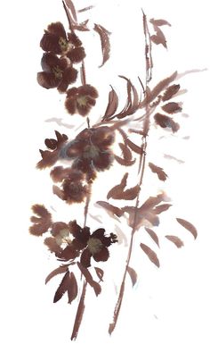 some brown flowers and leaves on a white background with watercolng effect in the foreground