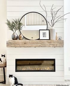 a black and white cat laying on the floor in front of a fireplace with a mirror above it