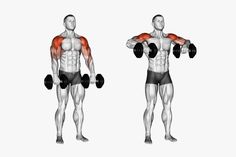 Dumbbell Upright Row, Shoulder Workout Routine, Traps Workout, Upright Row, Gym Workout Guide, Gym Workout Chart, Workout Routine For Men, Gym Workouts For Men