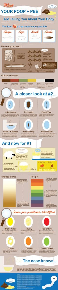 What Your Poop Is Telling You About Your Body (Infographic) Timeline Project, Diagram Template, 404 Pages, Info Board, Project Planning, Math Methods, Health Facts, Health Products