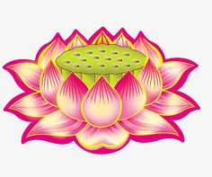 a lotus flower with pink petals and yellow centers on a white background, in the center is