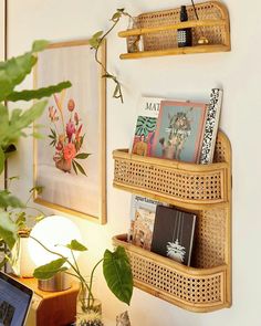 two wooden shelves with books on them in front of a wall mounted plant and pictures