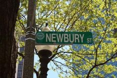 a green street sign hanging from the side of a light pole next to a tree