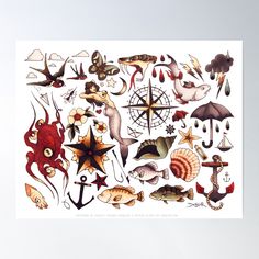 an assortment of sea animals and marine life poster print on white paper with black ink