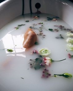 a white bowl filled with water and flowers