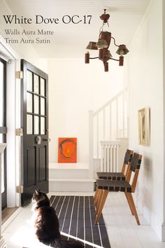 a black and white cat sitting on the floor in front of a door with a light fixture hanging above it