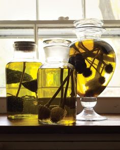 three glass vases filled with different types of flowers and plants sitting on a window sill