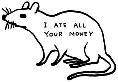 a rat with the words i ate all your money written on it's back