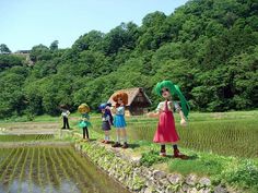 several dolls are standing on the edge of a rice field