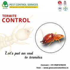 an advertisement for pest control services with a cockroach and termite on it