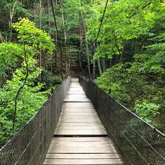 a wooden suspension bridge over a river surrounded by trees