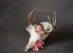 a newborn baby is wrapped in white with antlers