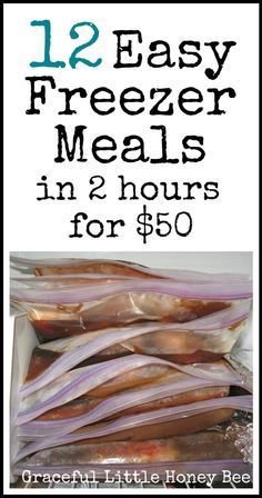 freezer meals in 2 hours for $ 60 are easy to make and cost less