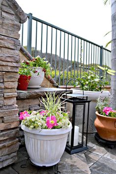 two potted plants sitting next to each other on top of a stone patio area