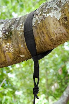 a tree with a black strap hanging from it's trunk in front of some trees