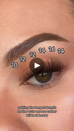 40K views · 591 reactions | Lash Map for Downturned Eyes: 10,12,12,14,16,14. #foryou #lashes #bqlash #makeup #fyp #clusterlashes #grwn #diylashextensions #clusterlashes #bqlashes | B&Q LASH | B&Q LASH · Original audio Lash Extensions Styles Clusters, Lash Map Downturned Eyes, B&q Lash Map, Lash Map Almond Eyes, Lash Placement, Downturned Eyes, Lash Maps, Cheer Makeup, Siren Eyes