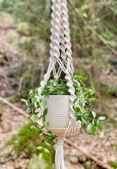 a macrame planter hanging from a rope in the woods with text overlay that says, beginner project diy