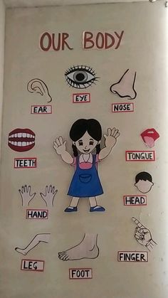 Body Parts Preschool Activities, Body Parts For Kids, Preschool Charts, Alphabet Activities Kindergarten, Body Parts Preschool, Counting Practice, Body Chart, School Art Activities, School Kids Crafts