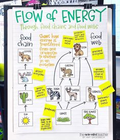 a poster on a white board with words about food and energy written in green marker