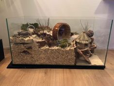 an aquarium filled with lots of plants and rocks in the middle of a wooden floor