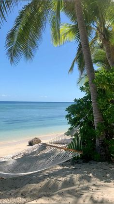 a hammock hanging between two palm trees on a beach with the ocean in the background