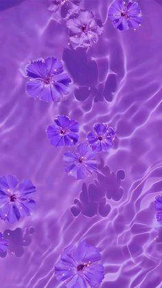 purple flowers floating in water with ripples