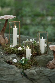 candles and mushrooms are placed on the ground in front of moss covered rocks with white flowers