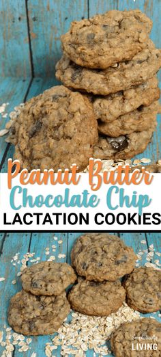 Chocolate Chip Lactation Cookies, Flax Meal, Lactation Cookies, Homemade Peanut Butter