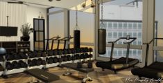 the gym is equipped with many different types of equipment