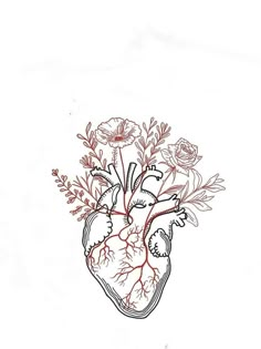 a drawing of a human heart with flowers on the side and blood vessels running through it