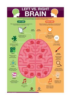 This Digital Prints item by LEVEL19Design has 17 favorites from Etsy shoppers. Ships from United States. Listed on Oct 20, 2024 Left Vs Right Brain, Left And Right Brain, Left Brain Right Brain, Brain Poster, Brain Gym, Medical School Studying, Brain Science