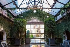 the inside of an old building with ivy growing on it