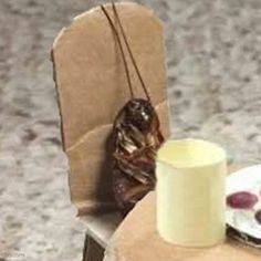 a paper bag sitting on top of a table next to a cup and saucer