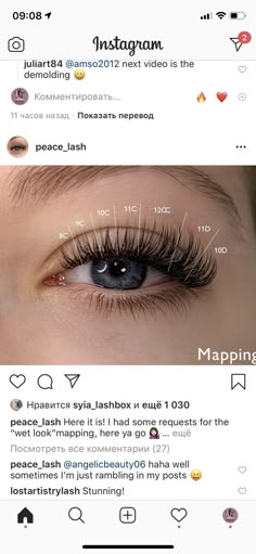 Lashes Extensions Mapping, Lash Extension Mapping Styles, Lash Extensions Mapping Styles, Lash Tint And Lift, Evening Eye Makeup