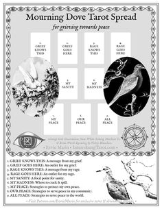 an image of a poster with words and pictures on it that say morning dove tarot spread