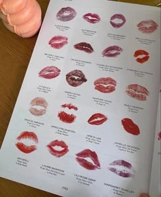 an open book with various types of lipstick on it