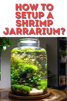 an aquarium filled with plants and moss sitting on top of a table