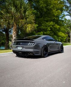 a gray mustang parked on the side of a road next to trees and palm trees