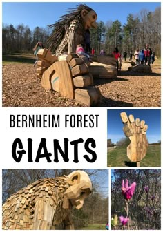 several photos of wooden animals and plants in the woods with text overlay that reads, bernhem forest giants