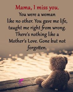 a teddy bear sitting on top of a pier next to the water with a quote about mother's love