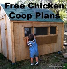 a little boy standing in front of a coop with the words free chicken coop plans